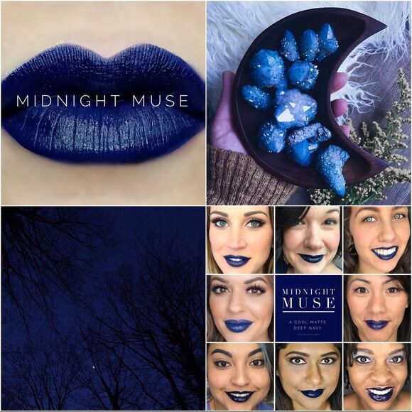 LipSense Other - 3/$50 New & Sealed Senegence Lipsense Midnight Muse
